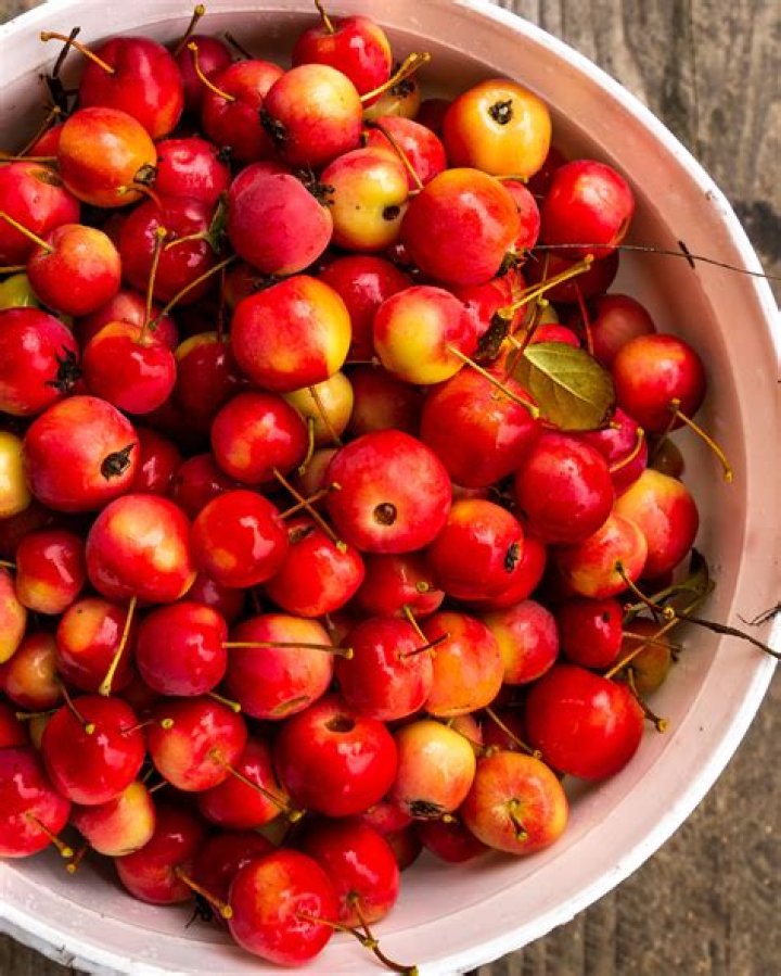 Are Crabapple berries edible