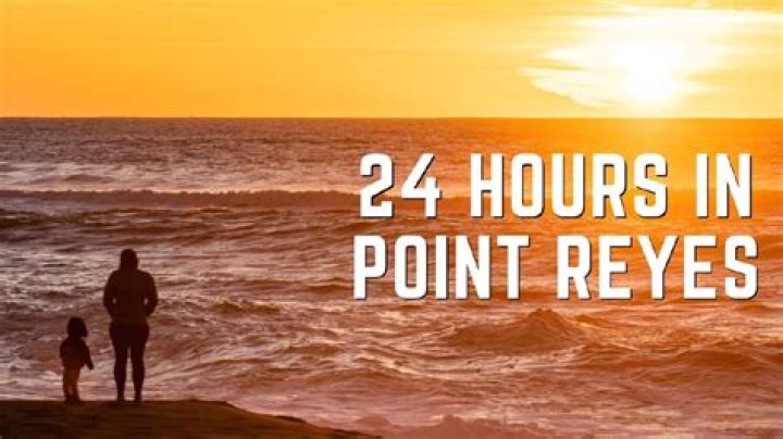 Are dogs allowed at Point Reyes National Seashore