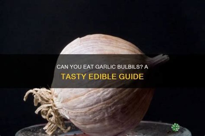 Are garlic bulbils edible