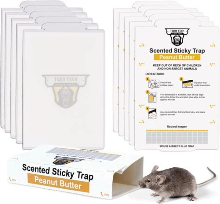 Are glue mouse traps effective
