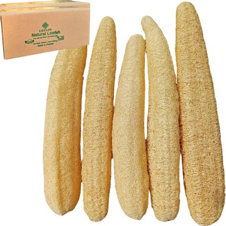 Are loofah sponges grown