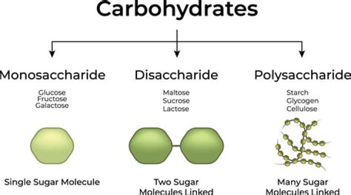Are polysaccharides simple carbohydrates