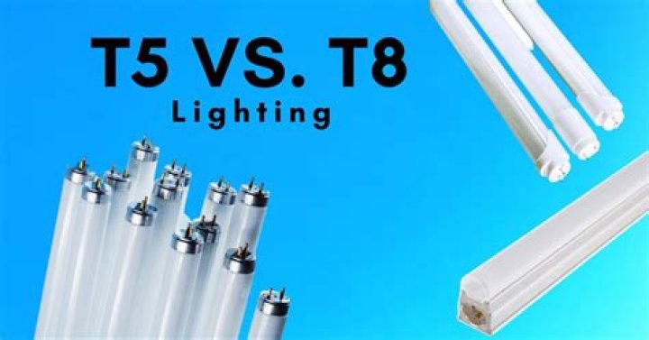 Are t5 brighter than t8