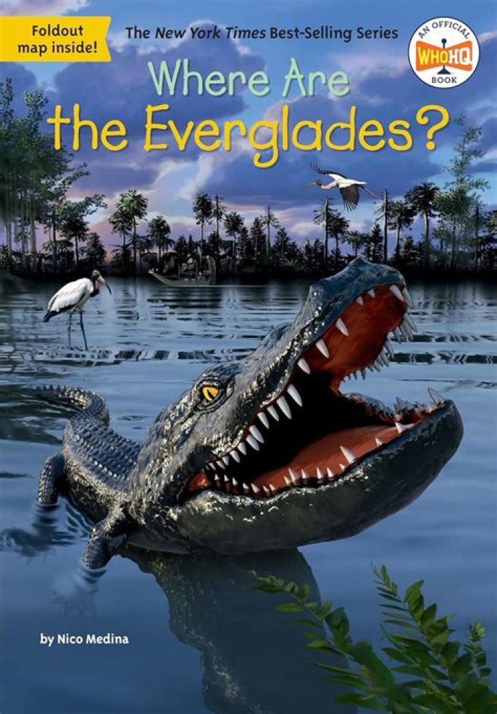 Are the Everglades Forever summary