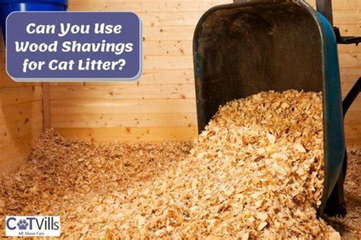 Are wood shavings safe for puppies