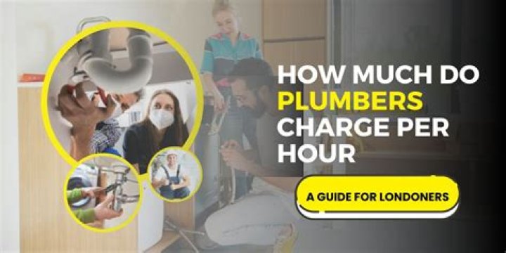Can a plumber charge too much for a job?