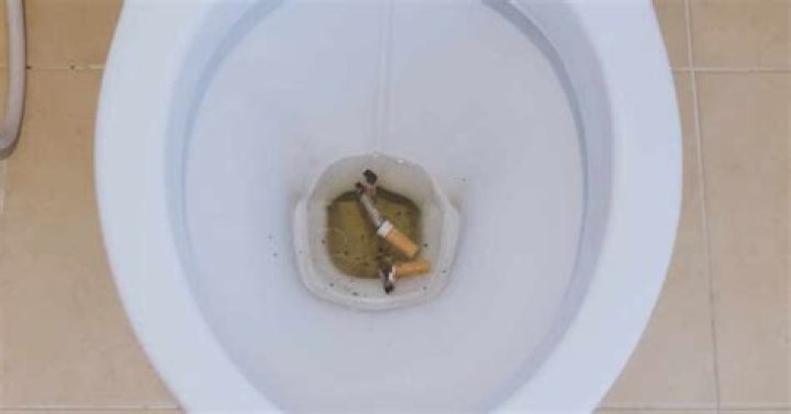Can cigarettes block toilet?