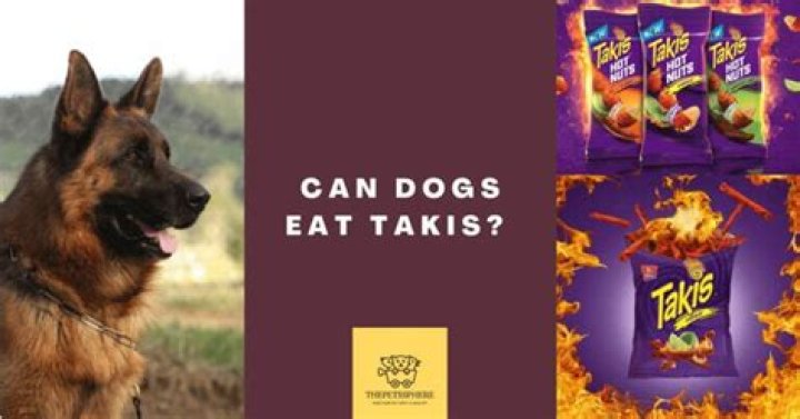 Can Dogs Eat Takis