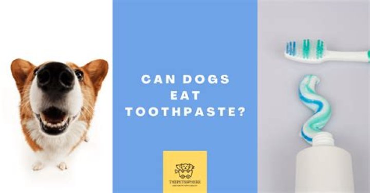 Can dogs eat toothpaste