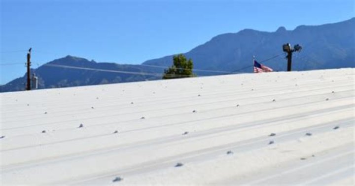 Can elastomeric roof coating be tinted