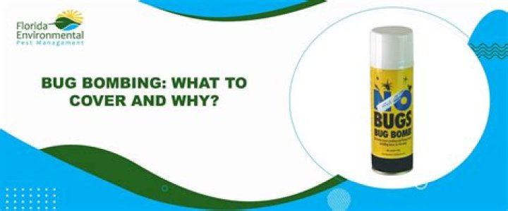 Can I set off a bug bomb in my attic