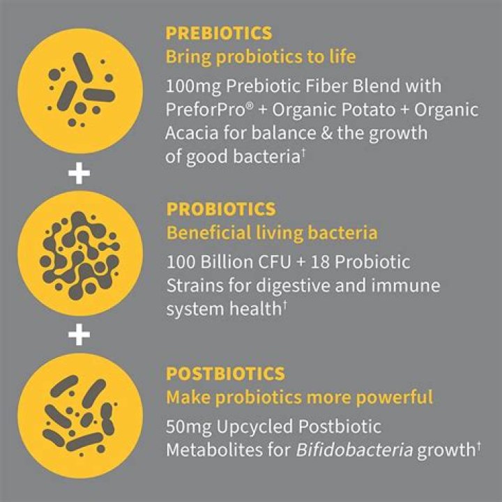 Can probiotics help malabsorption