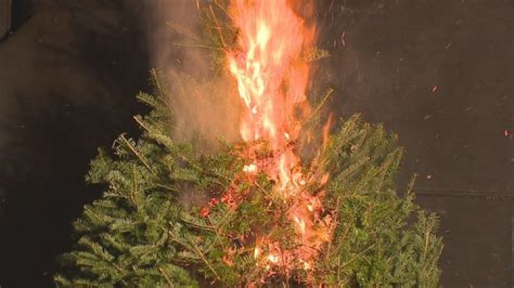 Can real Christmas tree catch fire