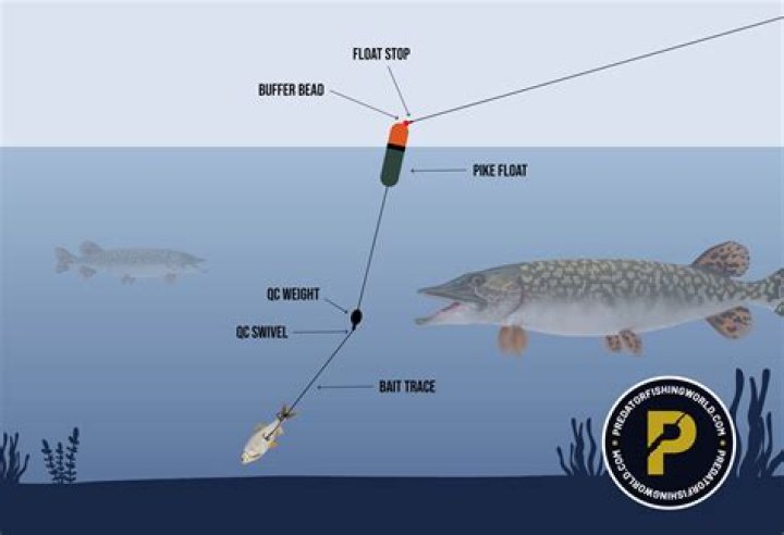 Can you bait deer in Massachusetts