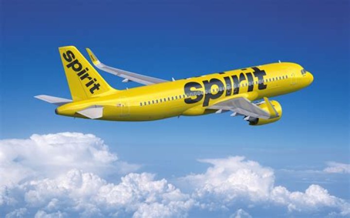 Can you bring a pet on Spirit Airlines