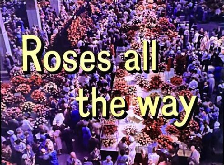 Can you cut roses all the way back