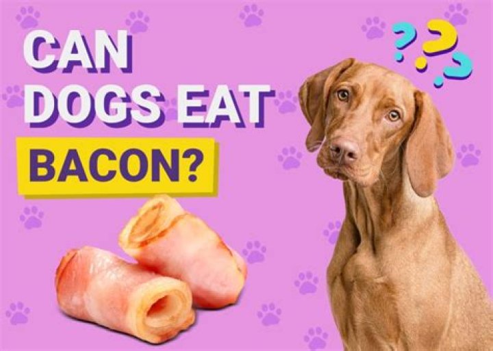 Can you eat cured bacon