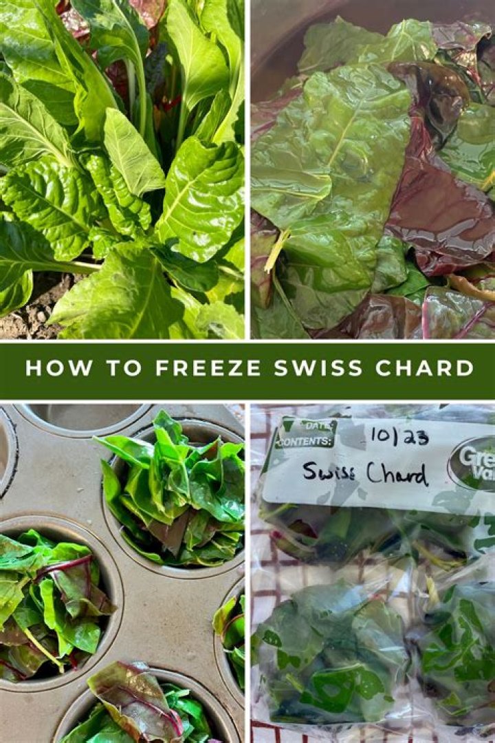 Can you freeze Swiss chard and kale