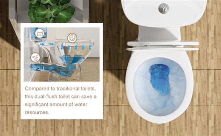 Can you have two toilets on the same line?