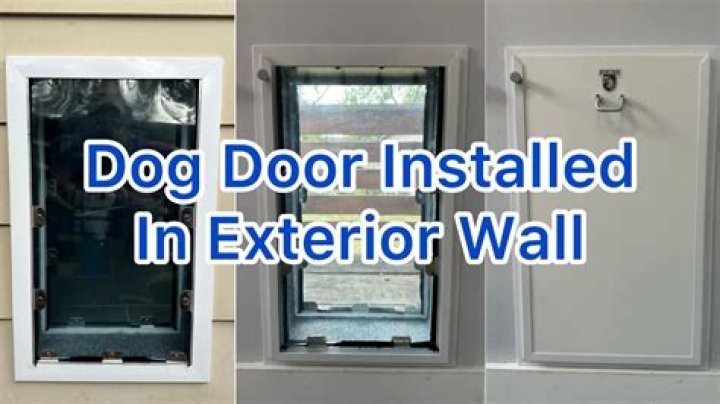 Can you put a doggy door in a wall