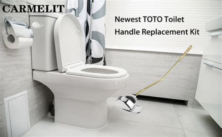 Can you replace the handle on a Toto toilet?