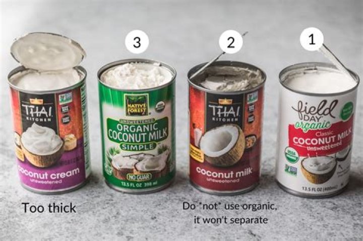 Can you substitute carton coconut milk for canned