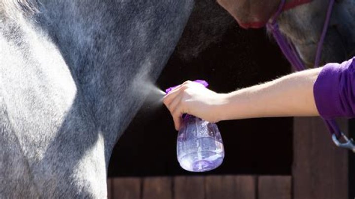 Can you use human fly spray on horses