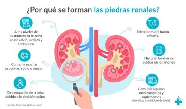 ¿Cuántas veces la sangre es filtrada por los riñones cada día