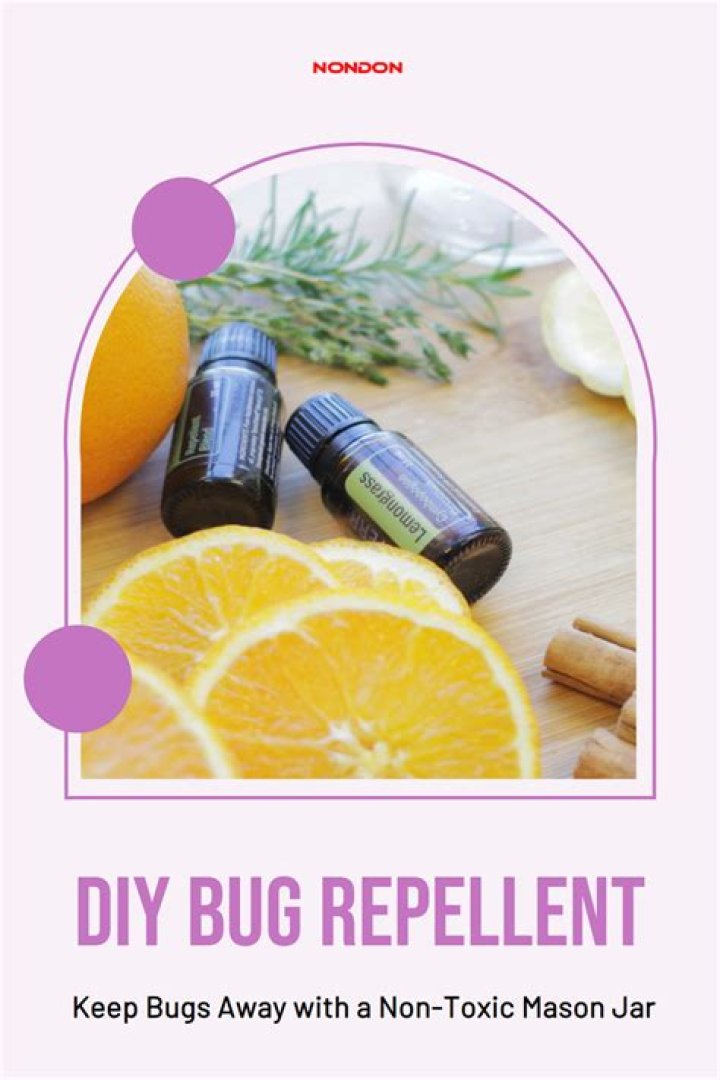 Do fans help keep bugs away