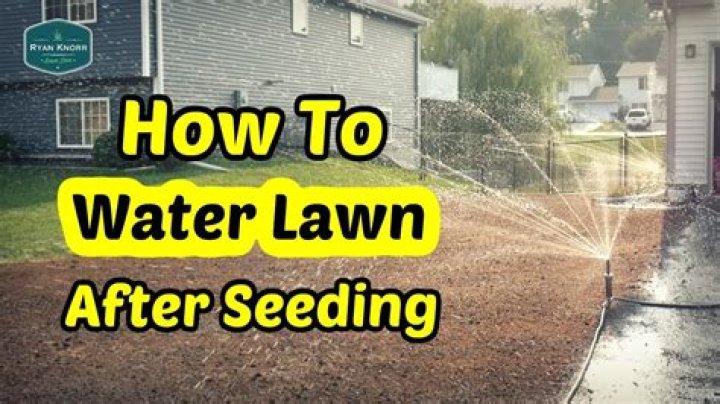 Do I need to water my lawn after seeding
