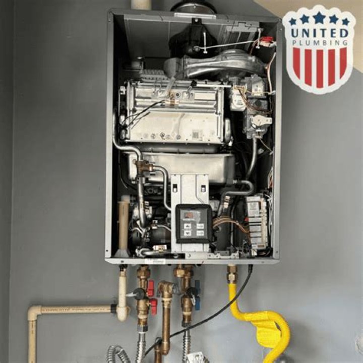 Do tankless water heaters require annual maintenance?