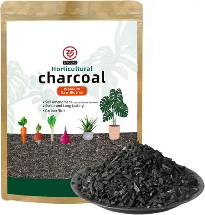 Do you need charcoal for a terrarium
