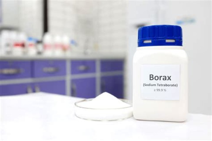 Does borax kill Mould