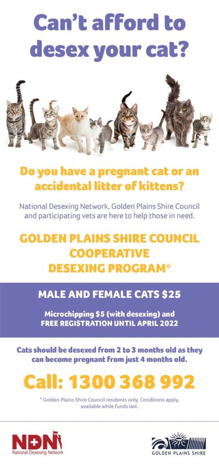 Does Desexing calm a male cat