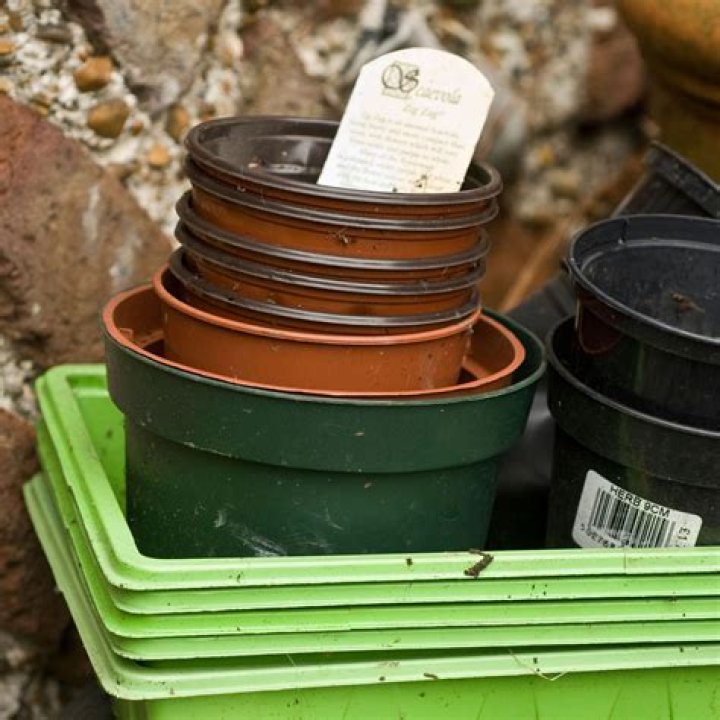 Does Home Depot recycle plant pots