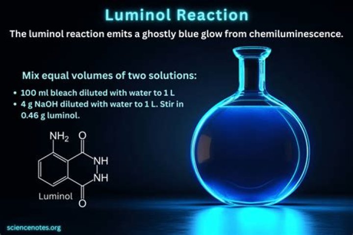 Does Luminol react to bleach