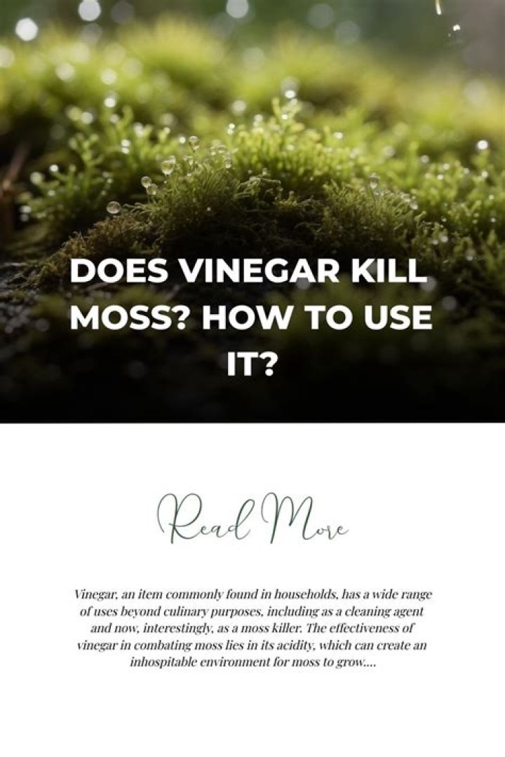 Does white vinegar kill green moss
