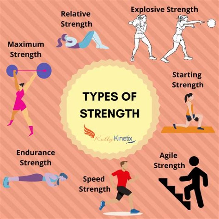 Dumbbells Are An Example Of What Type Of Training Equipment