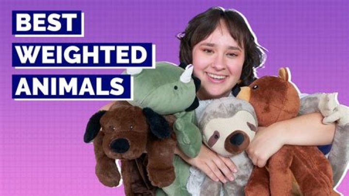 How are dead animals stuffed