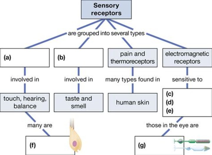 How are sensory system disorders treated