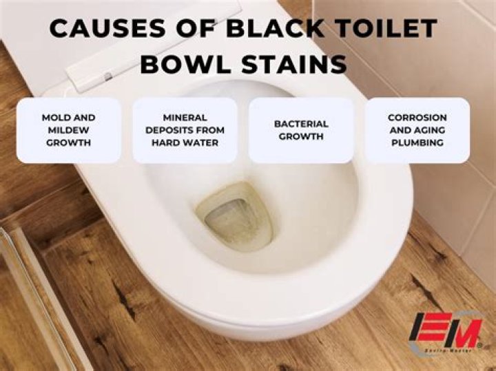 How do I get rid of the black stuff in my toilet tank?