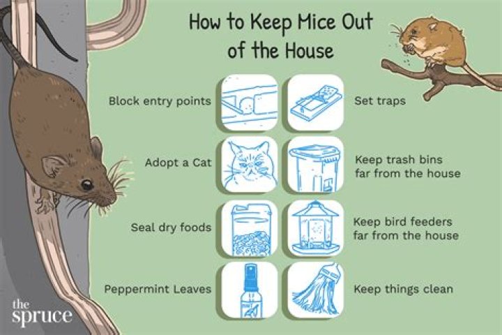 How do I keep mice out of my trash cans