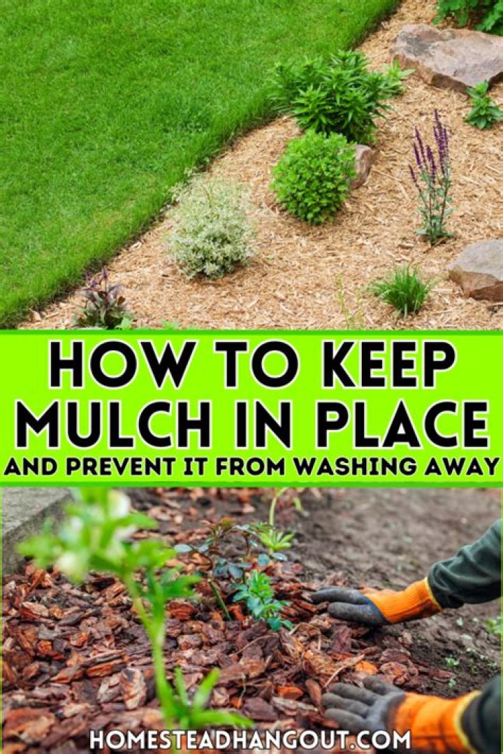 How do I keep mulch from blowing away