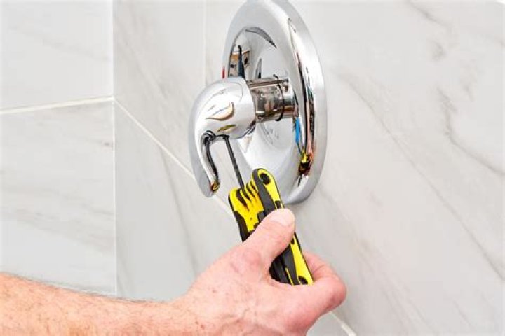 How do I know what brand my shower handle is?