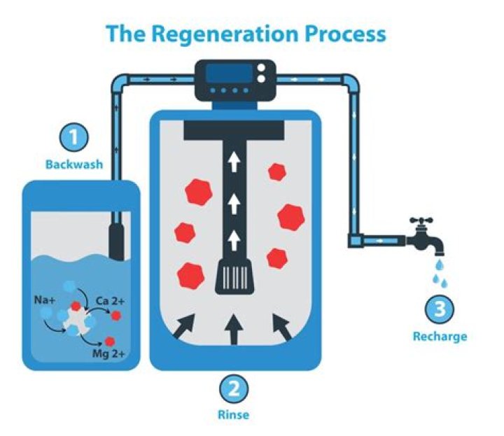 How do I reset my water softener regeneration time?