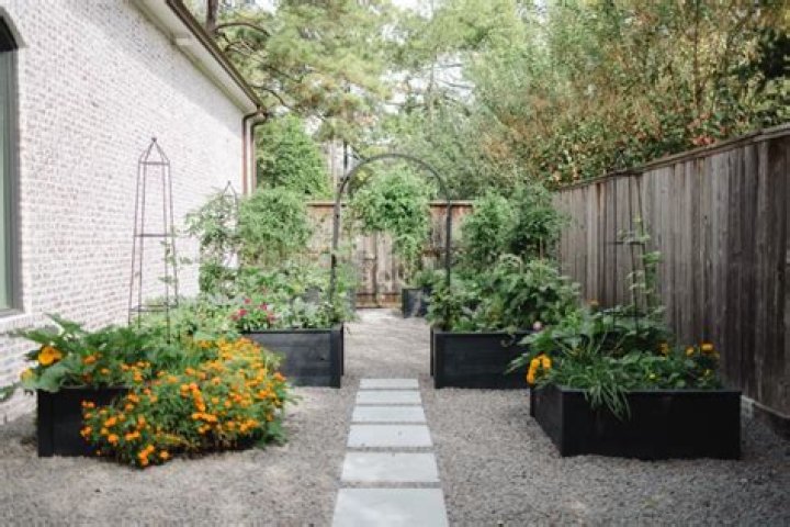 How do I start a garden in Colorado