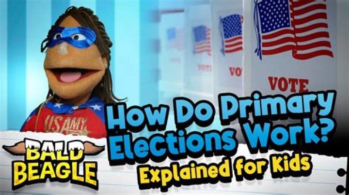 How do primary elections work