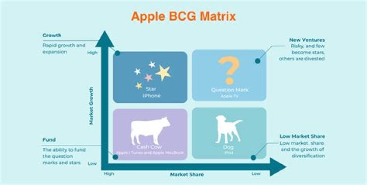 How do you apply the BCG matrix to a company