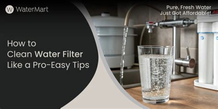 How do you clean a hot water filter?