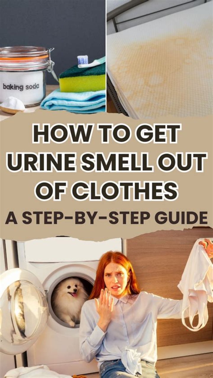 How do you get urine smell out of a garage